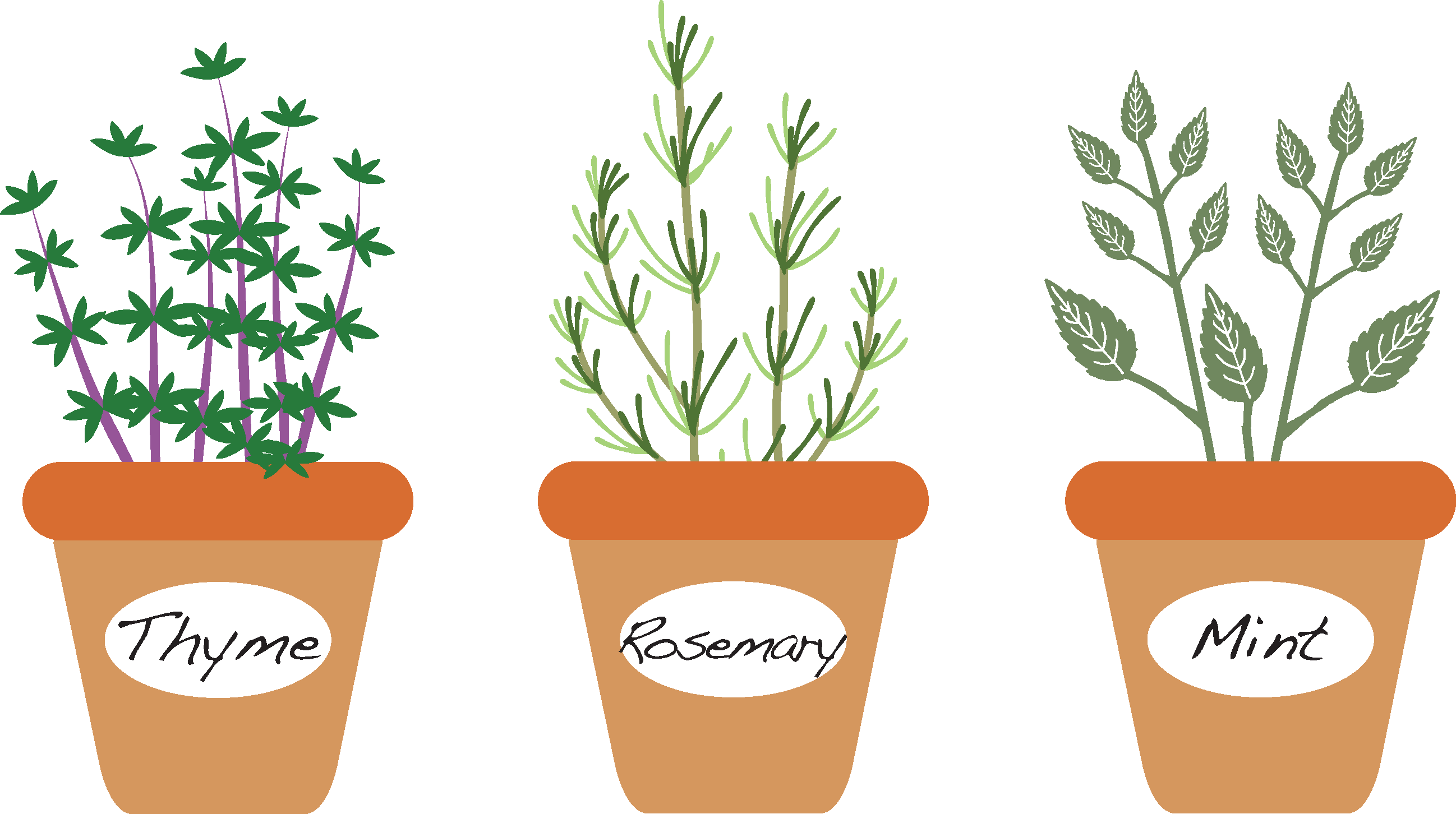 Three Culinary Herbs That Grow Well Here In The Low (2596x1452), Png Download