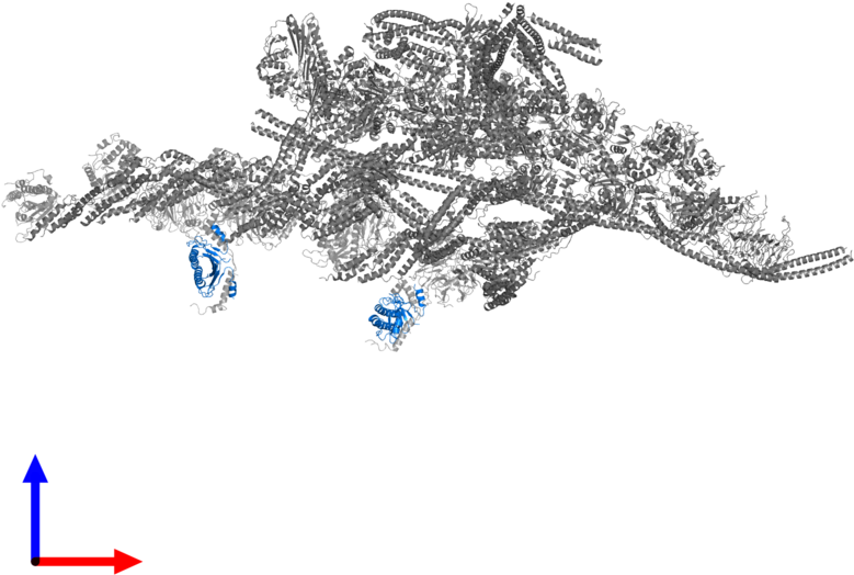 <div Class='caption-body'>pdb Entry 6f1t Contains 4 (800x800), Png Download