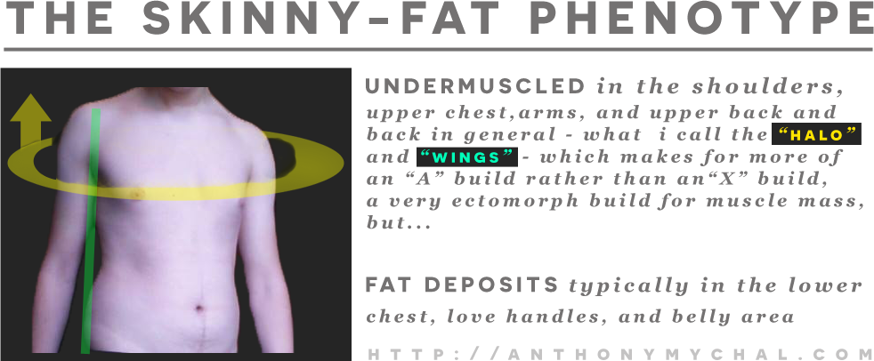 What Is Skinny Fat Syndrome Or A Skinny Fat Ectomorph (982x406), Png Download