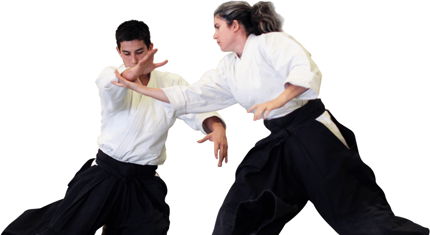 Aikido Martial Arts School Of Reno (877x468), Png Download