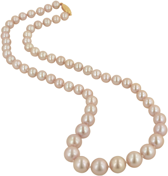 Leave A Reply Cancel Reply (768x768), Png Download