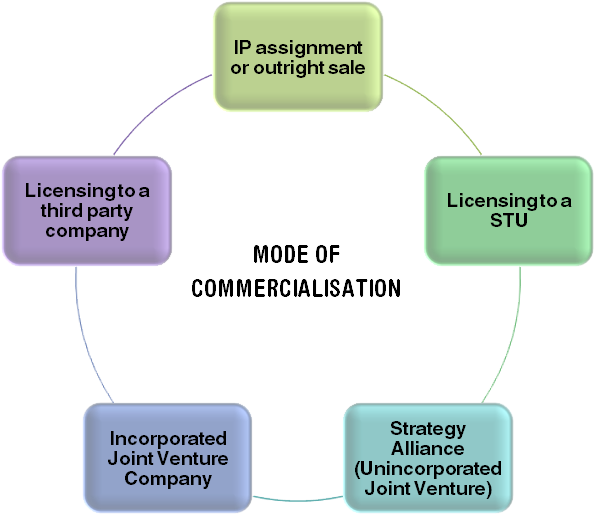 Snap Commercialisation Process Centre For Collaborative (631x539), Png Download