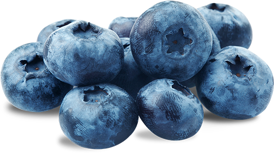 Blue Berry Png (600x600), Png Download