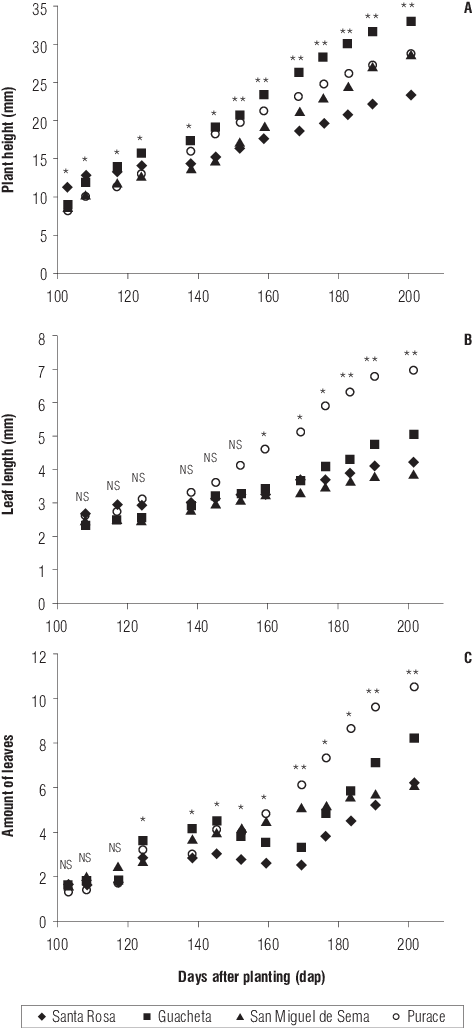 Chronological Development Of The Colombian Blueberry (472x1028), Png Download