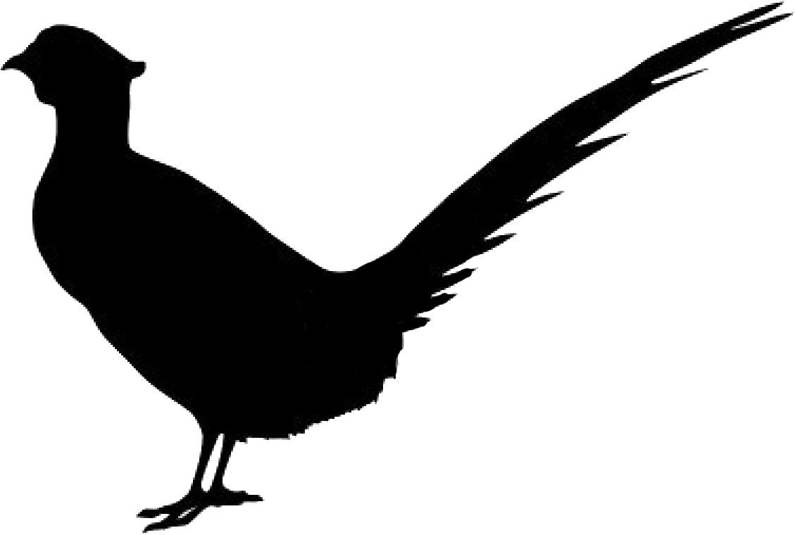 Pheasant (1200x900), Png Download