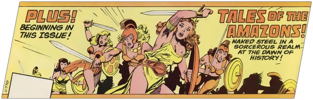 Tales Of The Amazons Cover Wwv1-247 (1038x332), Png Download