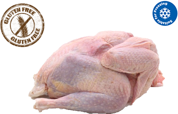 Our Range Typically Includes (640x480), Png Download