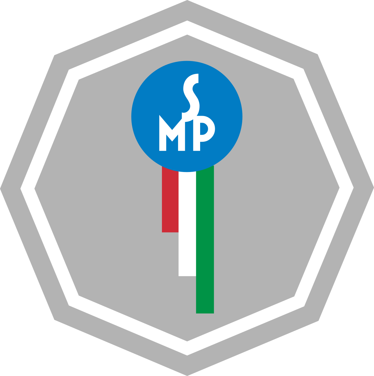 Scudo Mario Pacuzzi (1252x1257), Png Download