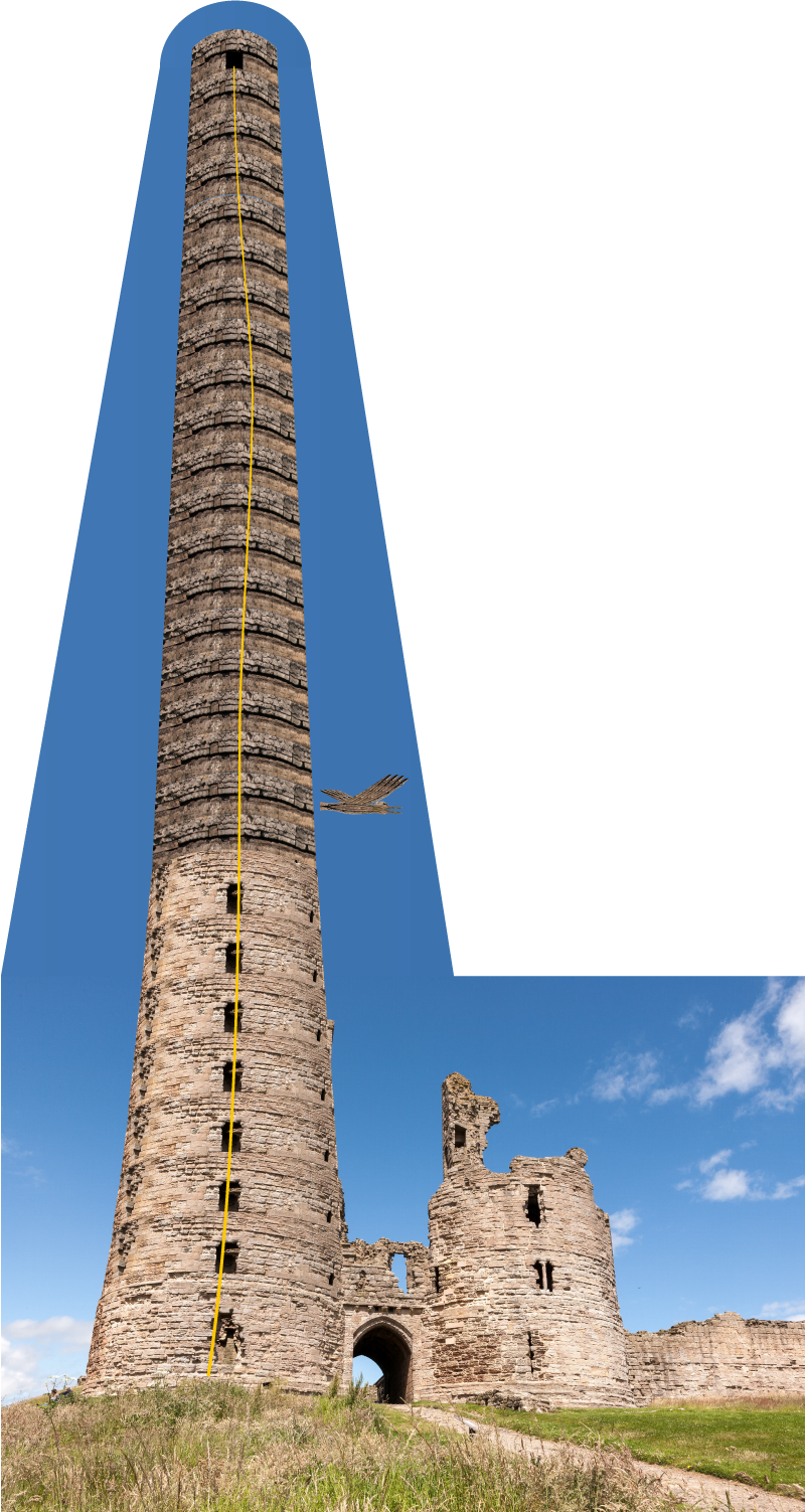 It Can Be Seen Scrolllessly Here, (800x1503), Png Download
