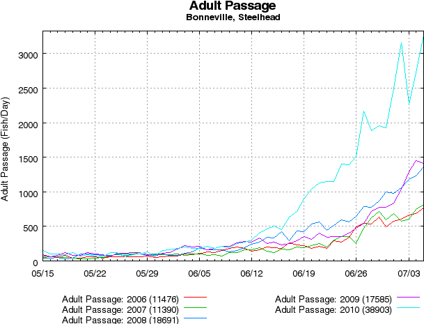 56 162k 3pelicans Bigfish2 02 Jan 2013 (640x480), Png Download