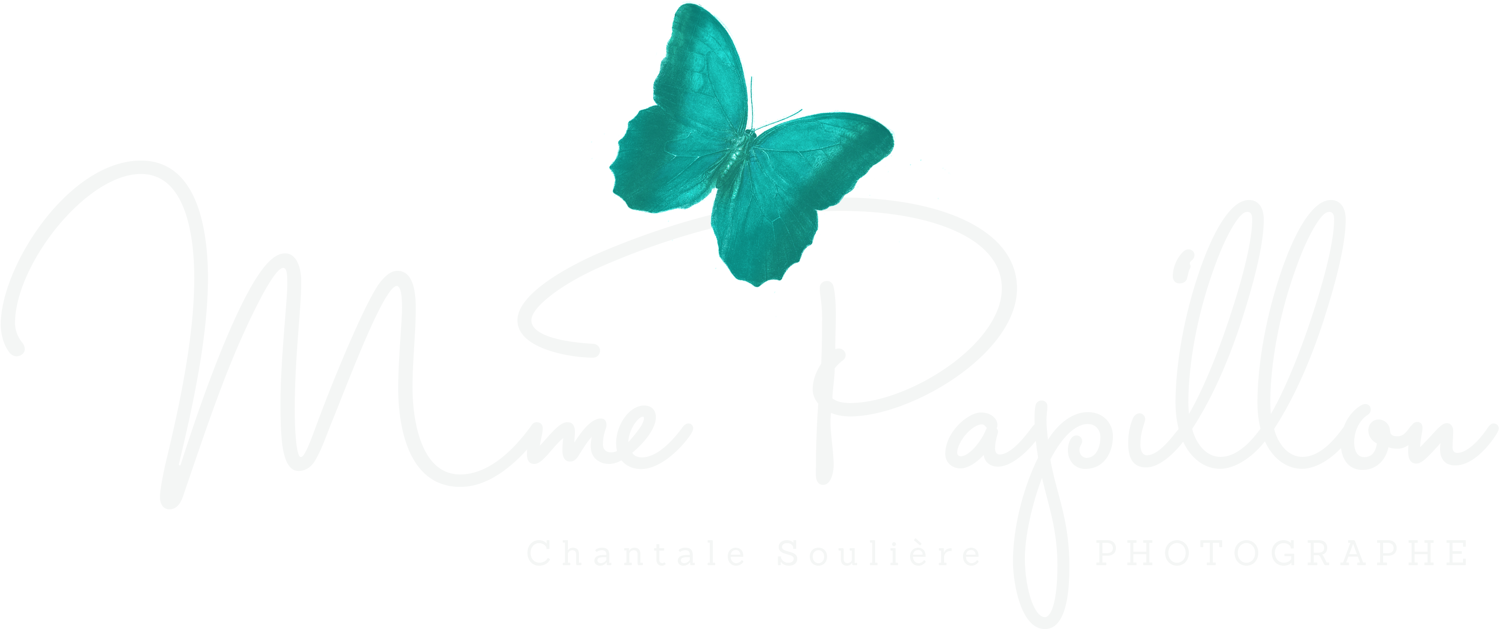 Mme Papillon (3072x1314), Png Download
