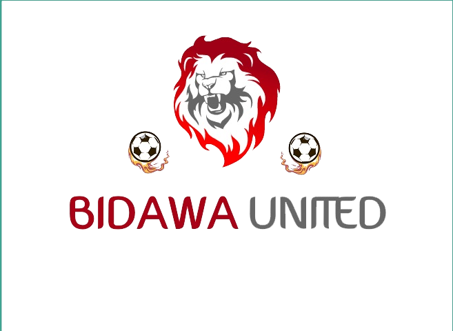 Bidawa United Ps4 Records Fifa17 (657x480), Png Download