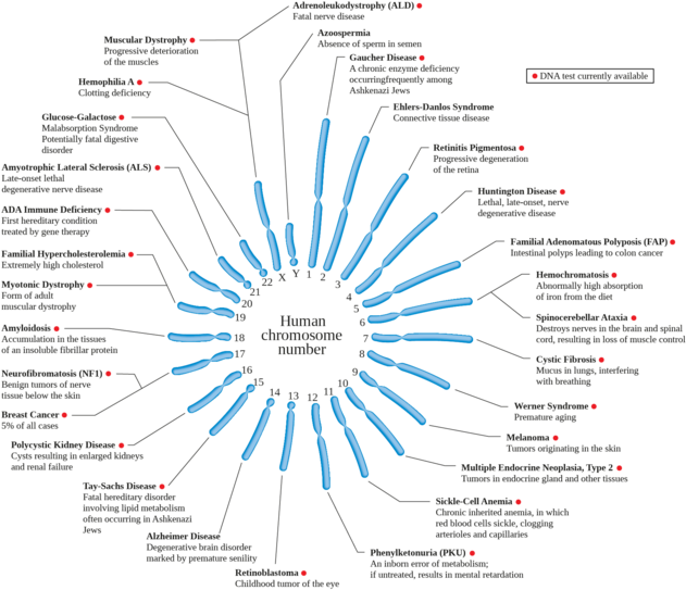 Human Chromosome Diseases Set En (722x599), Png Download