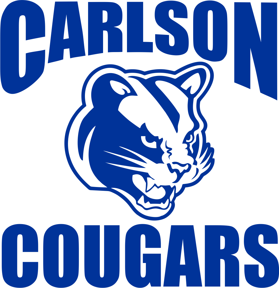 Carlson Young Png (969x1001), Png Download