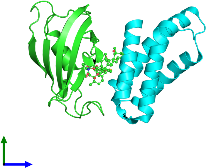 Pdb 3fap Coloured By Chain And Viewed From The Front (800x800), Png Download