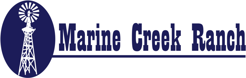 Marine Logo Png (1000x328), Png Download