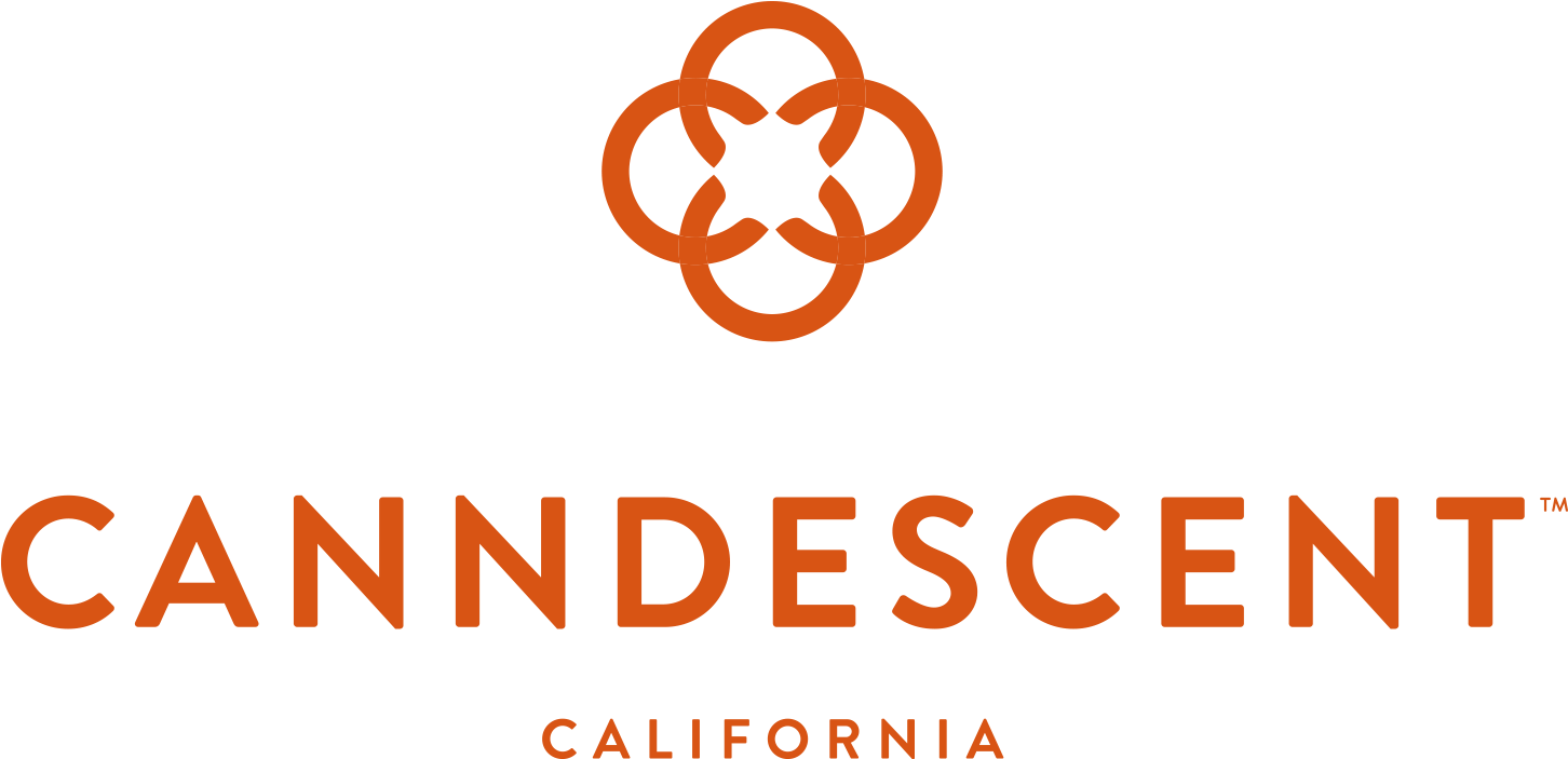 Are You Over (1500x713), Png Download