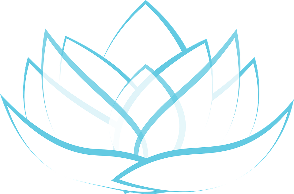 Lotus, Transparent, Blossom, Graphic, Illustrator (960x636), Png Download