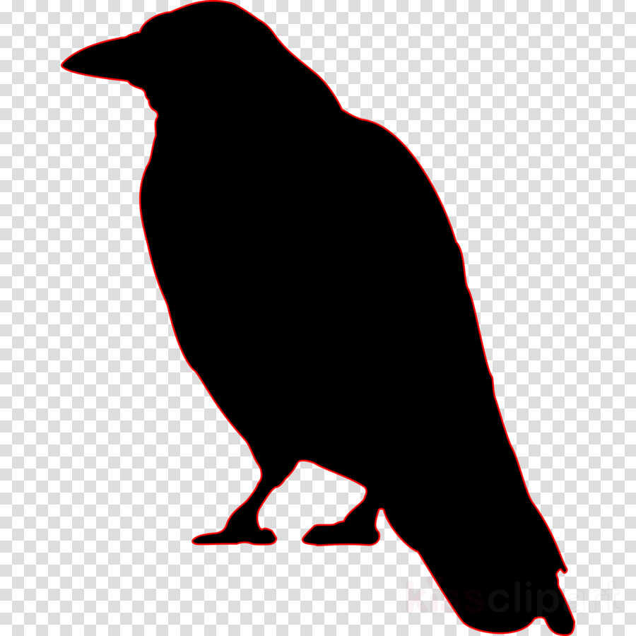 Game Of Thrones Crow Silhouette Clipart Bird Crow Clip (900x900), Png Download