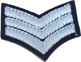Three White Stripes Iron On Patch (500x667), Png Download