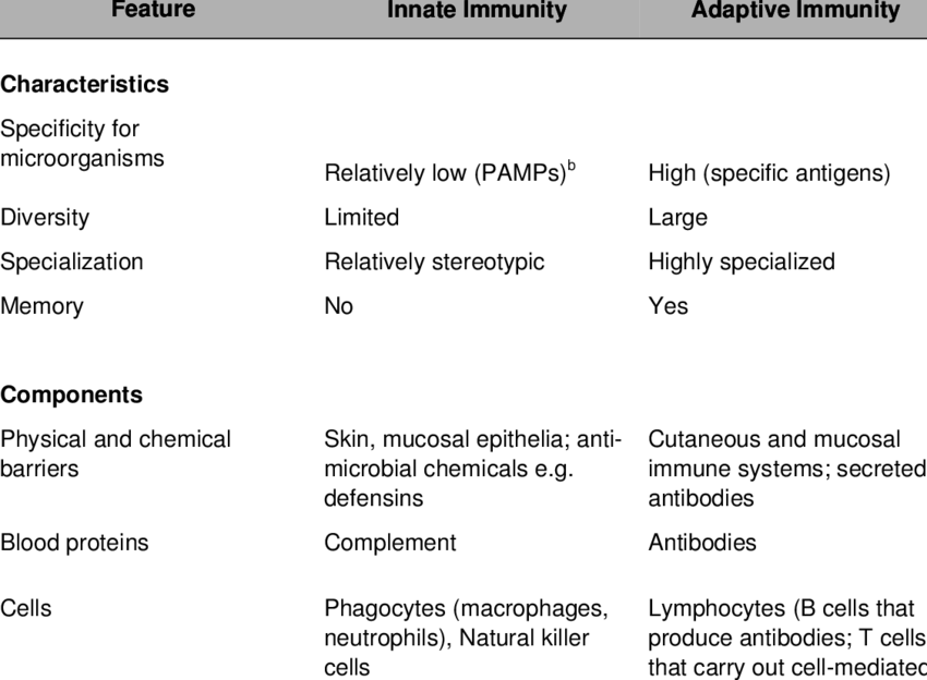 Features Of Innate And Adaptive Immunity A (850x624), Png Download