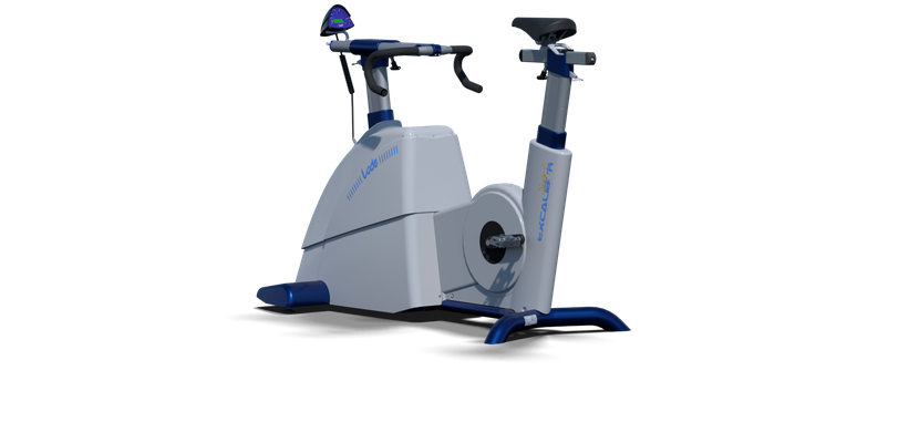 Excalibur Sport (900x900), Png Download