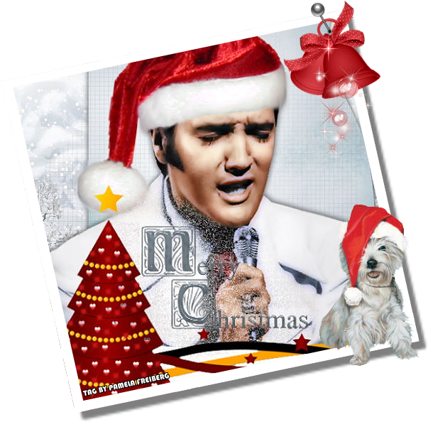 Elvis Presley Christmas Photo Mchristmas (604x600), Png Download