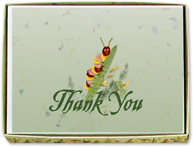 Caterpillar Thank You Cards Image (800x800), Png Download