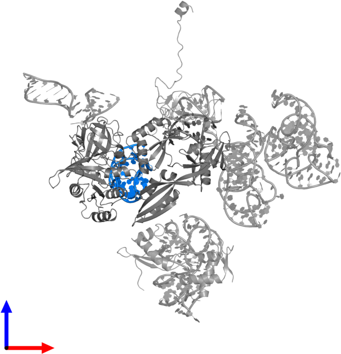 <div Class='caption-body'>pdb Entry 3deg Contains 1 (800x800), Png Download
