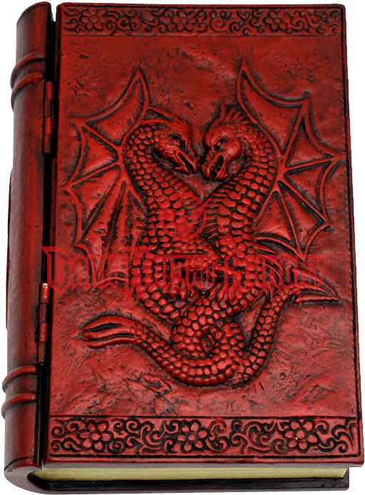 Double Dragon Png (704x704), Png Download