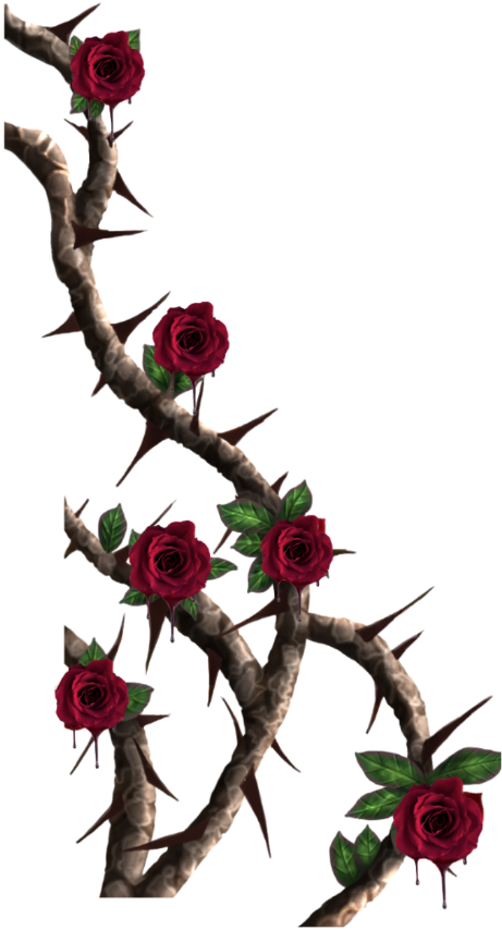 Roses Redrose Thorns Rosesandthorns (1024x1024), Png Download