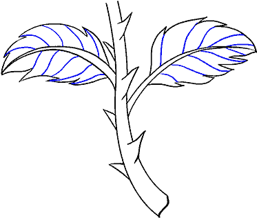 How To Draw Rose With A Stem (678x600), Png Download