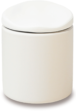 P Nto Tronco Pinto (700x700), Png Download