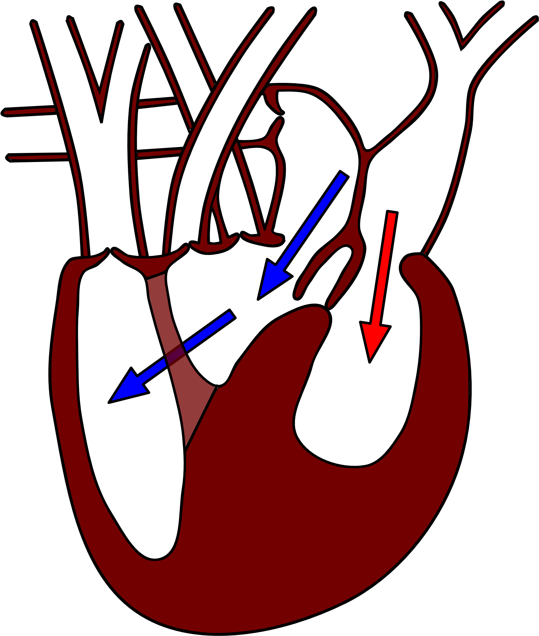 File - Varanusheart2 (2169x2326), Png Download