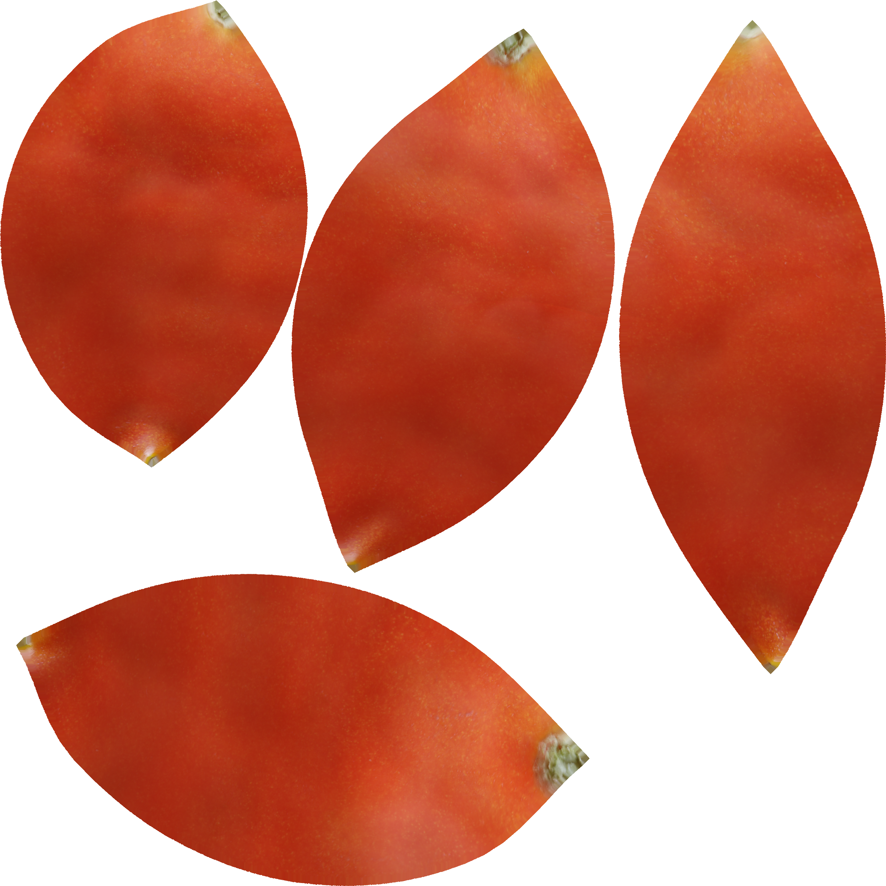 Twitter (3000x3000), Png Download