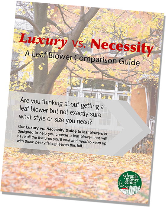 Are You Thinking About Getting A Leaf Blower But Not (580x720), Png Download
