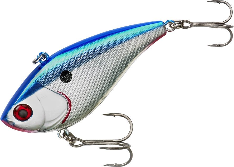 Blue Shiner (888x632), Png Download
