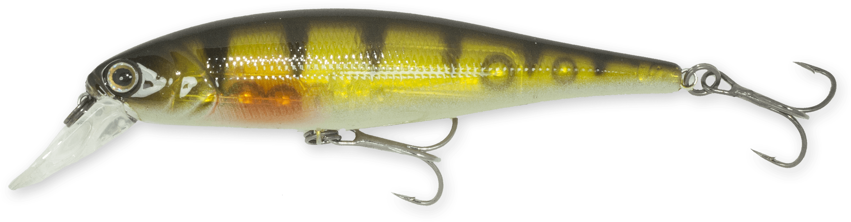 Ghost Perch (3008x868), Png Download