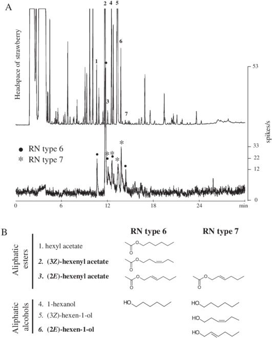 A) Gas Chromatogram Of The Headspace Sample Of Cut (850x672), Png Download