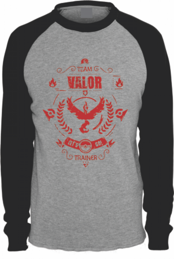 Team Valor Png (1000x1000), Png Download