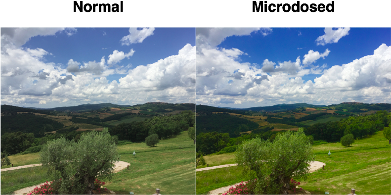 I Had Maybe 10% Of This Enhancement From Microdosing (797x421), Png Download