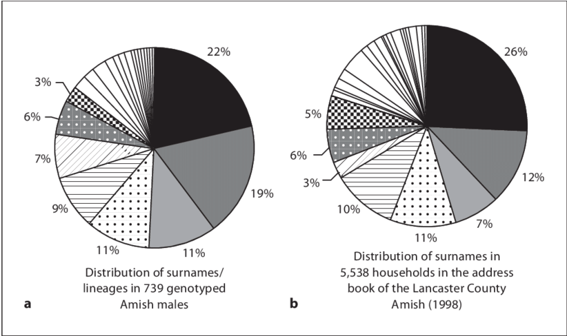 Of Surnames And Lineages In Our Sample Of 739 Genotyped (850x487), Png Download