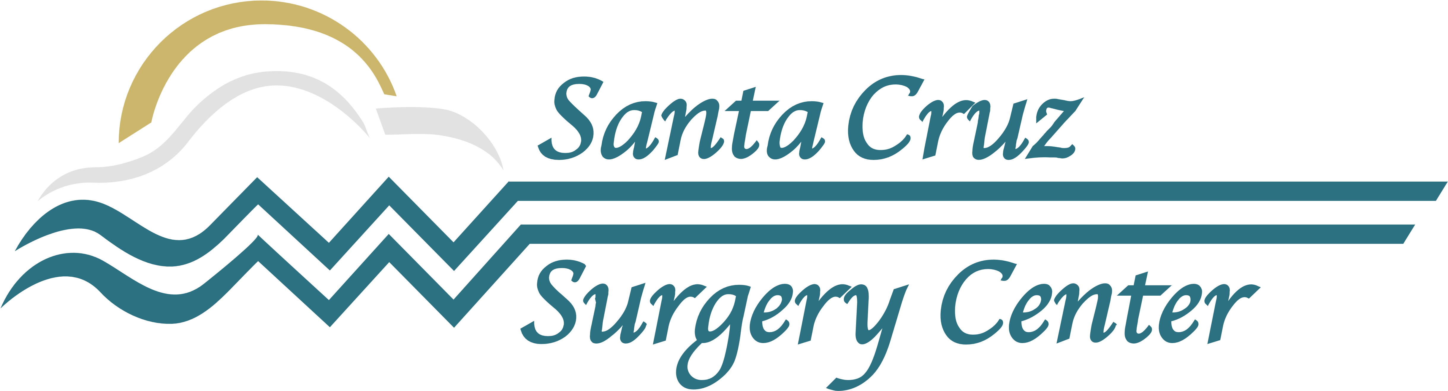 American Cancer Society Logo Png (5000x1622), Png Download