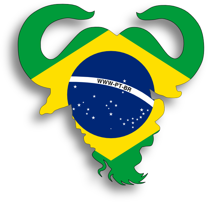 Download [bandeira Do Brasil Limitada Pelo Contorno Do Logo PNG Image with  No Background 