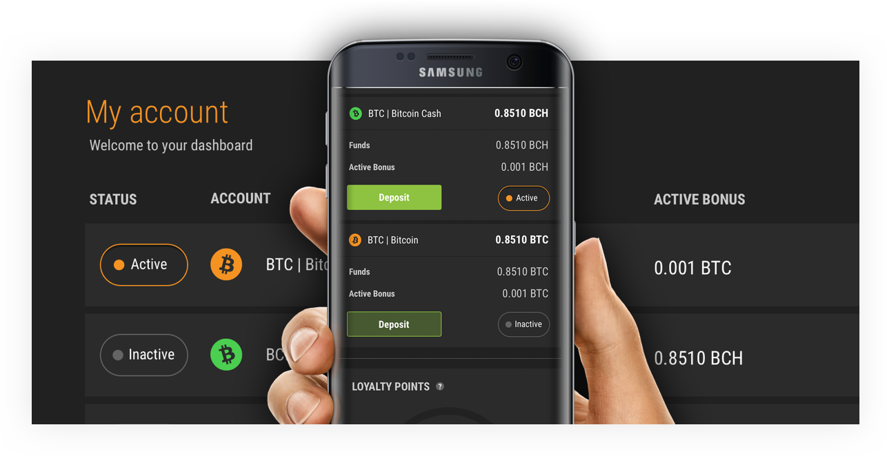 Bitcoin Cash Launched In Cloudbet (1286x662), Png Download