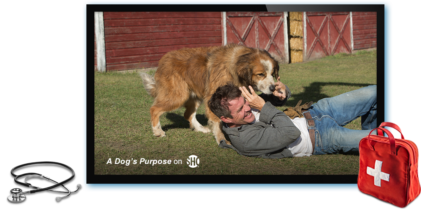 Tv - " (1463x728), Png Download