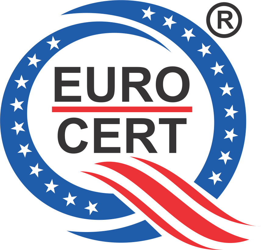 Euro Logo Png (856x820), Png Download