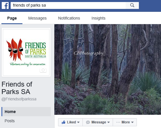 Like Us On Facebook (560x445), Png Download