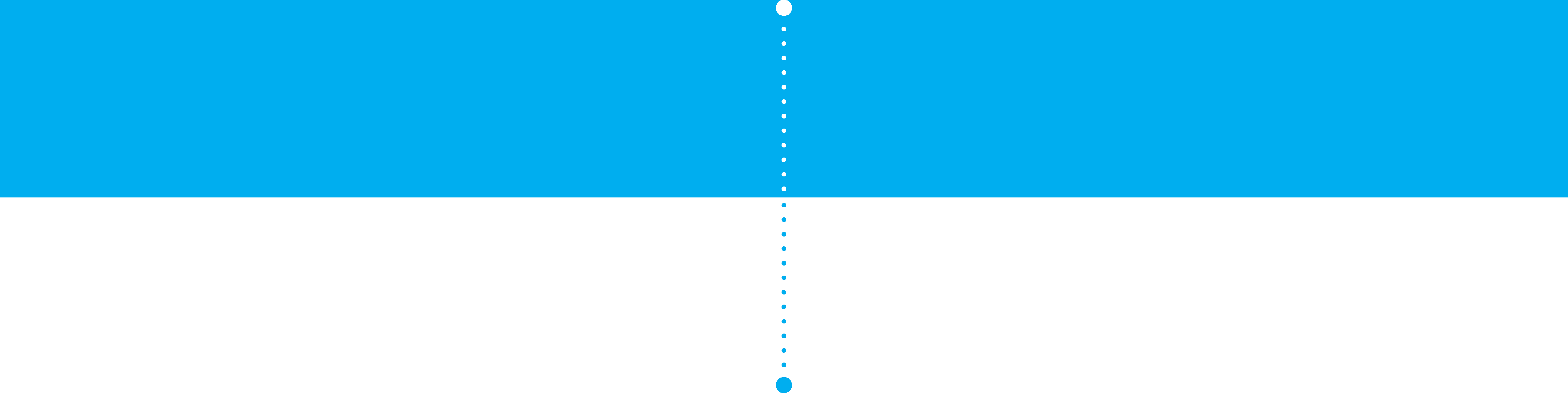 We Created A Five-pronged Approach To Further Our Diversity (4167x1045), Png Download