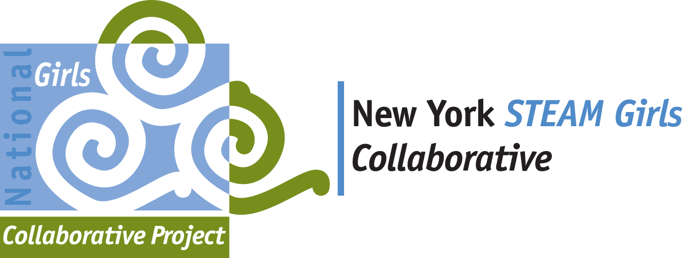 Ny Steam Logo (1342x509), Png Download